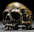 Anello teschio punk retrò in bronzo con incisioni realistiche e trama in stile gotico - US 7 / Bronzo Antico (03405)
