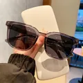 Gafas de sol polarizadas retro con montura morada transparente y lentes gris oscuro - Montura Gris Transparente Lente Gris
