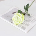Artificial yellow and white rose flower with green leaves on an open magazine - Large Velvet Light Green