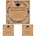 Bracciale in pietre naturali con ciondolo a coccinella e biglietto per diploma 2026 - L'avventura ha inizio - Laurea / Bracciale in Pietra Zebra Rosa