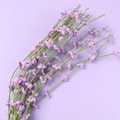 Detail of purple handmade crochet lavender bouquet with green stems on purple background - Purple Liriope Flowers Single Stem - Green Stalk