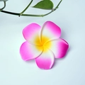 Pink and yellow gradient frangipani flower hair clip with a natural finish - Rose-red Flower Head [4cm]