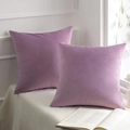 Set of two purple velvet square cushion covers on a white woven blanket near window - 30*50cm (No Insert) / Nude Purple