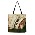 Orange Cat in Paper Bag Style (hm2549) / 40x38cm / Beige