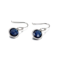 Silver drop hook earrings with round faceted dark blue gemstones in studio lighting - Black (KE82735-GC)