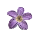 Vibrant purple frangipani flower hair claw clip made of high-quality resin material - UV Grid Plumeria [Purple]