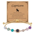 Adjustable gold Capricorn zodiac bracelet with colorful natural gemstone beads - Capricorn