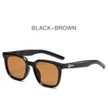 Stylish black frame sunglasses with brown lenses and silver star detail on the temple - Black Frame Tea Lens
