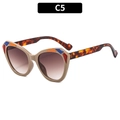 Cat eye glasses frame in khaki with tortoise temples and geometric color accents - C5-Khaki Frame Double Tea Lens