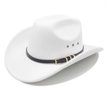 Detail of white felt cowboy hat with metal air eyelets and black leather belt strap - M (56-58cm) / White