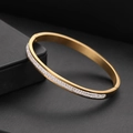 Vergulde roestvrijstalen ovale armband met een dubbele rij zirkonia-inlegwerk - 6mm Twee Rijen Witte Zirkonia / Goud