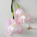 Iris Pink