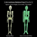 Luminous Halloween skeleton prop 122cm tall showing glow-in-the-dark effect against black - 120cm Glow Skeleton
