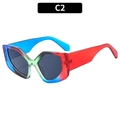 Polygonal geometric sunglasses with C2 multi-color frame and dark lenses - Blue Green Red Patchwork Frame Black Grey Lens