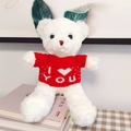 White teddy bear in red I Love You sweater sitting on books as a romantic gift - White Bear - Red I Love You Sweater / 30cm