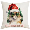Kissenhülle mit flauschiger Katze in Weihnachtsmütze und grüner Sonnenbrille - Katze mit Sonnenbrille-Feliz Naughty Cat