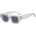 Retro small square sunglasses with transparent grey frame and dark grey lenses - Grey Frame / Black Grey Lens