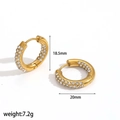 Gold-plated stainless steel hoop earrings with sparkling cubic zirconia, 20mm size - Gold Pave Zirconia Style (TE60375-G)