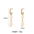 18K vergoldete Edelstahl-Perlenohrringe mit Maßangaben von 36,4mm Gesamthöhe - Pave-Zirkon Perlenkette Ohrringe-Gold-Weiß