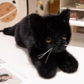 Realistic black plush cat doll with golden eyes in a cozy home office setting - Black Cat