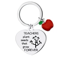 Portachiavi insegnante in acciaio inox con ciondolo a cuore e mela rossa - Argento Cuore-Teacher plant seeds