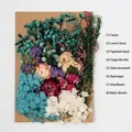 Macro view of eight dried flower varieties including hydrangea for DIY crafts and cards - Flower Pack A13