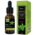 20ml Basil essential oil in brown glass dropper bottle with aromatherapy packaging box - DC-20 Basil / 20ml