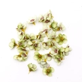 Flat lay of 2cm mini green-yellow silk daisy flower heads for DIY crafts and home decor - Light Green