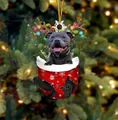Französische Bulldogge mit Rentiergeweih in einer roten Weihnachtssocke Anhänger - Graue Bulldogge