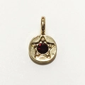 Golden round pendant featuring star design with a central faceted red gemstone inlay - Gold - January
