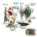 Assorted DIY dried flower material kit in box including pine cones and eucalyptus - Flowers Pine Cones 1 Box 44g