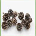 Kleine weiß verschneite Kiefernzapfen am Draht für Weihnachts-DIY und Bastelprojekte - Weiß gespitzte Kiefernblüte (2-3cm)