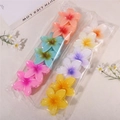 12 Pcs/Bag Classic Plumeria 6 Colors (12 Pcs/Pack)