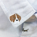 Boxer 1