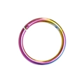 Rainbow plated stainless steel segment nose ring with hinged clicker mechanism - Colorful