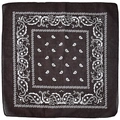 Bandana classique noir à motif paisley blanc pour chapeaux de soleil de style cowboy - Bandana 54*54cm / Bandana 100% Coton 22# Café