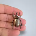 Scarabeo Ercole Tipo II