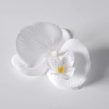 Testa di orchidea bianca artificiale in seta con perla per decorazioni e fai da te - Seta Bianco (Piccolo)