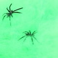 Halloween black plastic spiders on 20g green cotton cobweb props for spooky party decor - Spider Web And Spiders (Large) / Green