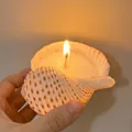 Snail shell scented candle with a natural wood wick and warm glowing flame - Lyre Shell Candle [10-12cm] / Freesia [Bagged]