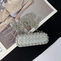 Sparkling silver rhinestone cylindrical mini crossbody bag with a metal chain strap - Pattern Style / Silver