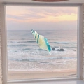 Close-up of a blue and cream striped conch shell hair clip against a sunset beach backdrop - White Ruffle Conch Duckbill Clip (5.9*2cm)
