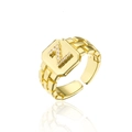 Macro view of adjustable letter N ring in 18K gold plating with inlaid AAA zirconias - Letter Z