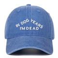 Détail de la broderie blanche 'IN DOG YEARS I'M DEAD' sur une casquette en jean délavé - Taille unique / Rose bonbon