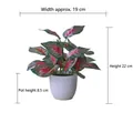 Artificial red Fittonia plant in white pot with 19x22cm dimensions for home decor - Small Pot + Red Perilla Leaf