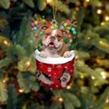 Bulldogge in rotem Weihnachtsstrumpf Anhänger mit Rentiergeweih und Lichtern - Bulldogge Typ 2