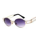 Retro round steampunk sunglasses with golden metal frame and purple gradient lenses - Gold Frame Gradient Grey