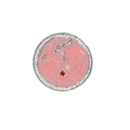 Detail of pink enamel animal pin with silver glitter border and red star accent - Sleeping Fox (C1891-1)