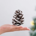 Pigna naturale con punte di neve artificiale per decorazioni natalizie fai da te - 6-8CM / Pigna Innevata