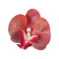 Fuchsia gradient fabric orchid hair clip with a centered pearl and textured petals - Rose Red Gradient